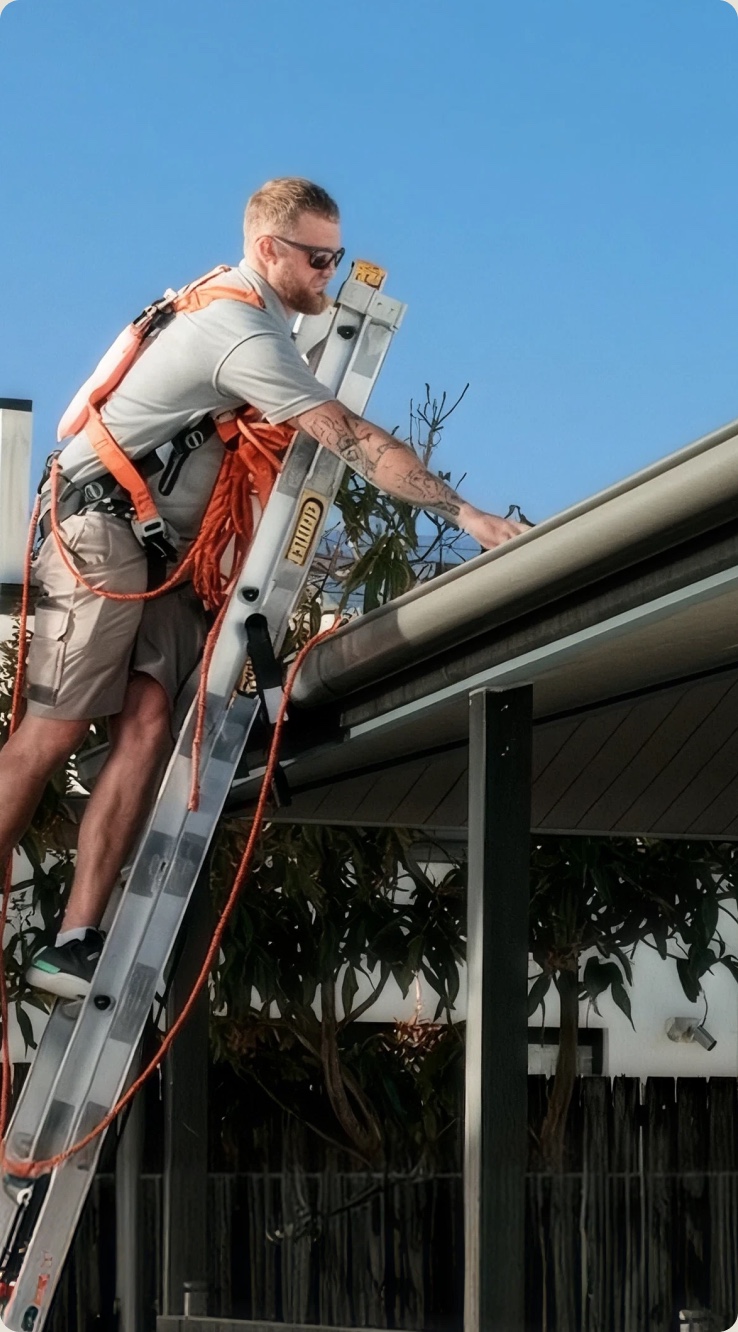 Insurance Repair